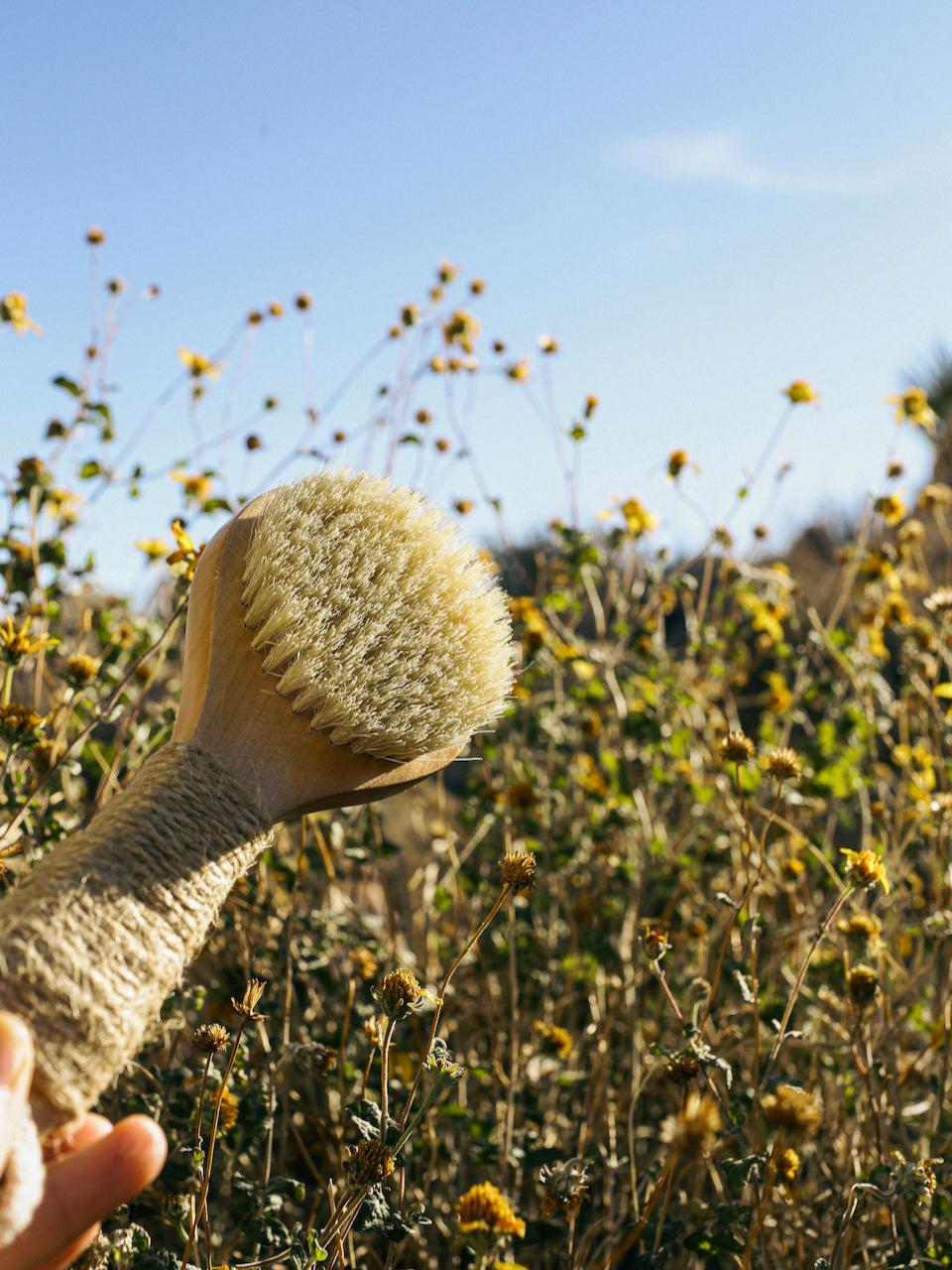 Dry Brush