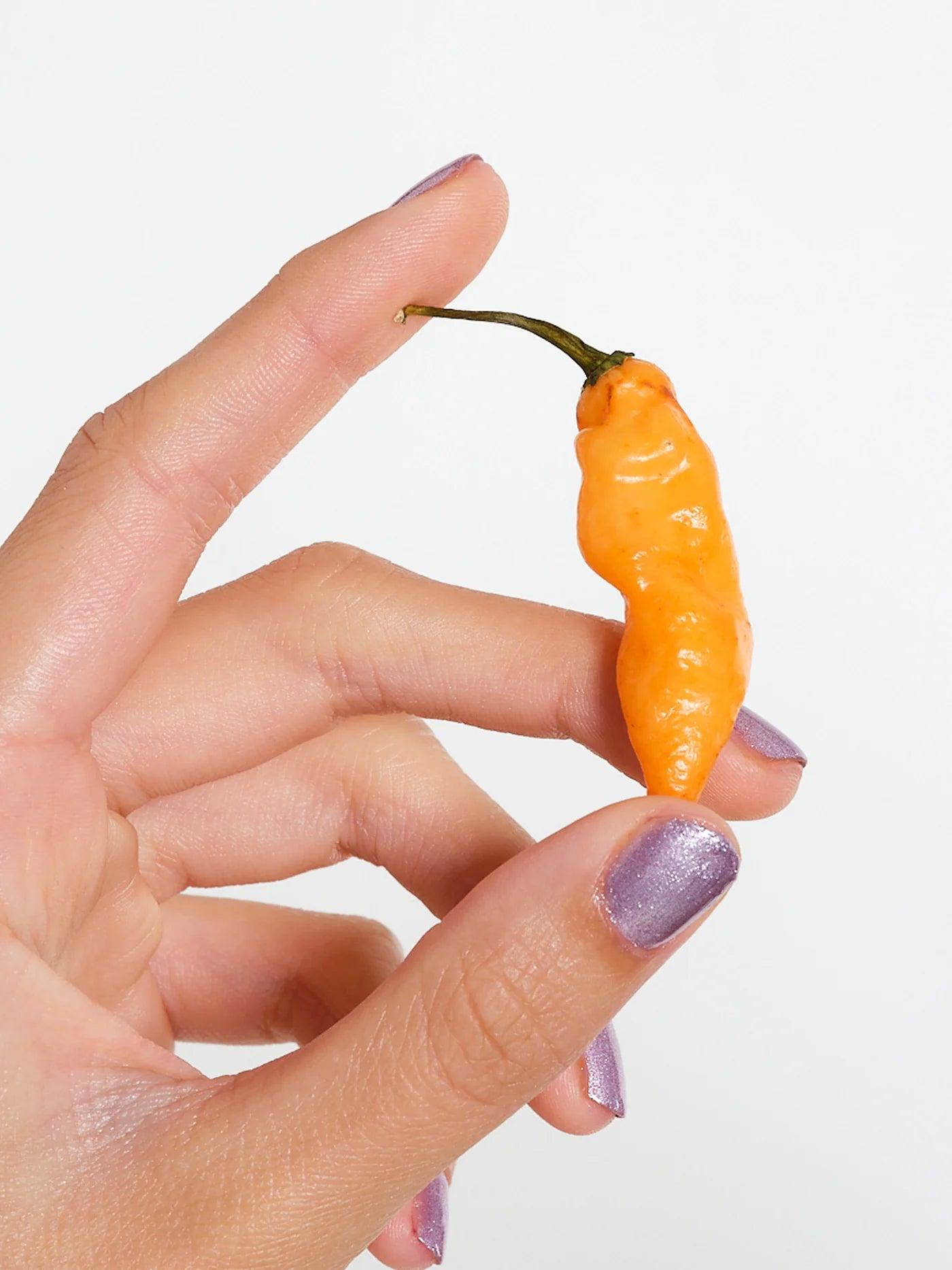 Opale Nail Polish