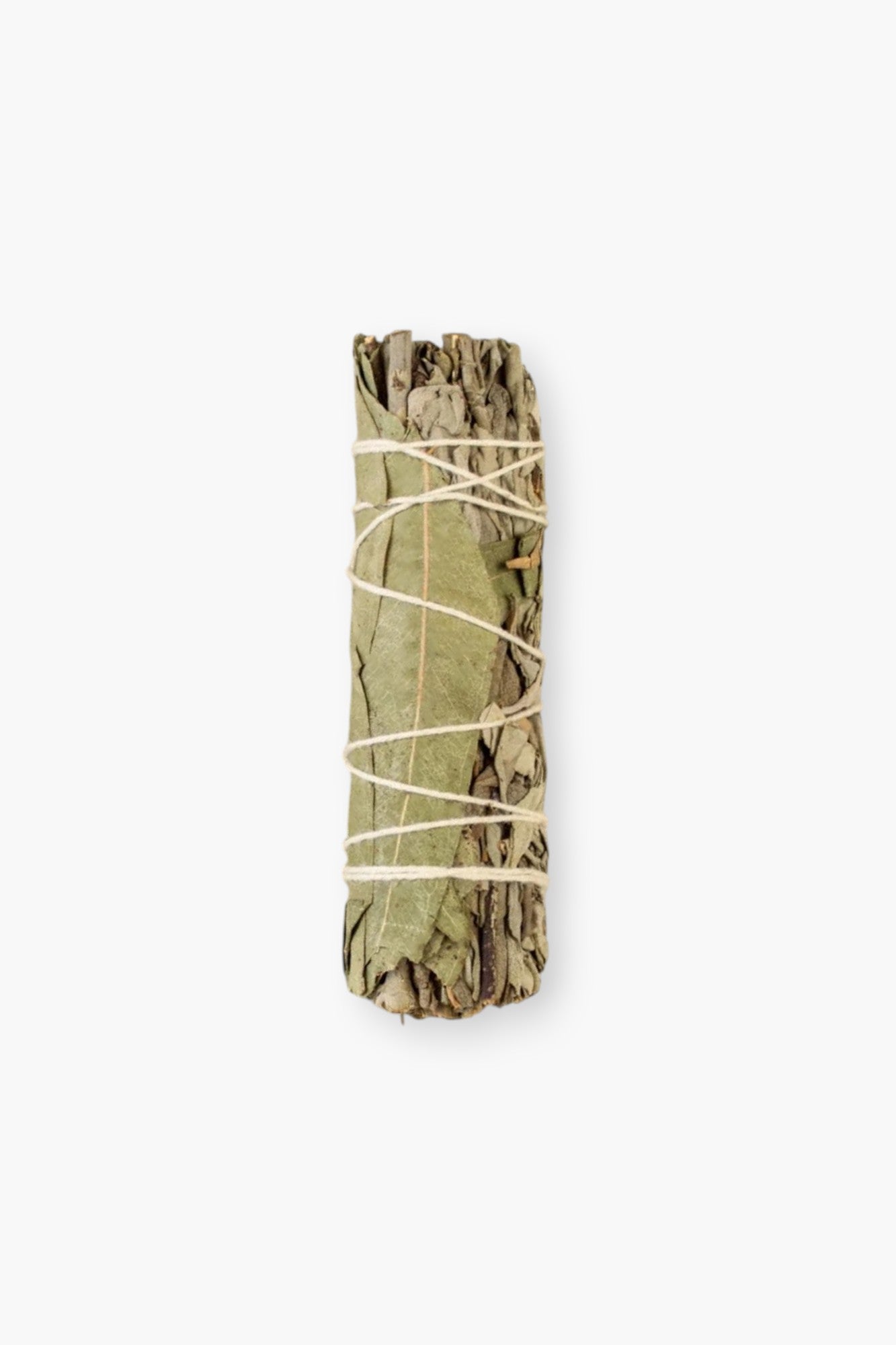 White Sage with Eucalyptus
