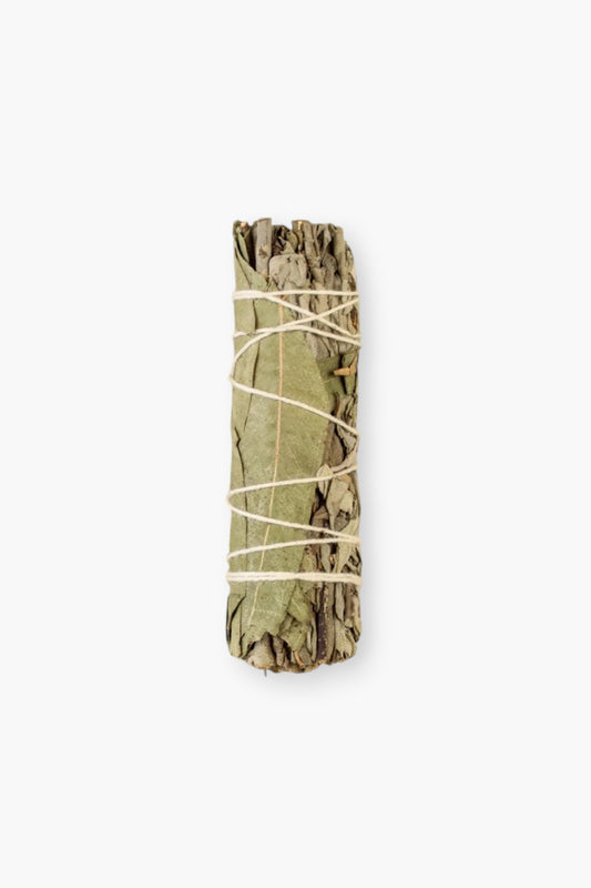 White Sage with Eucalyptus