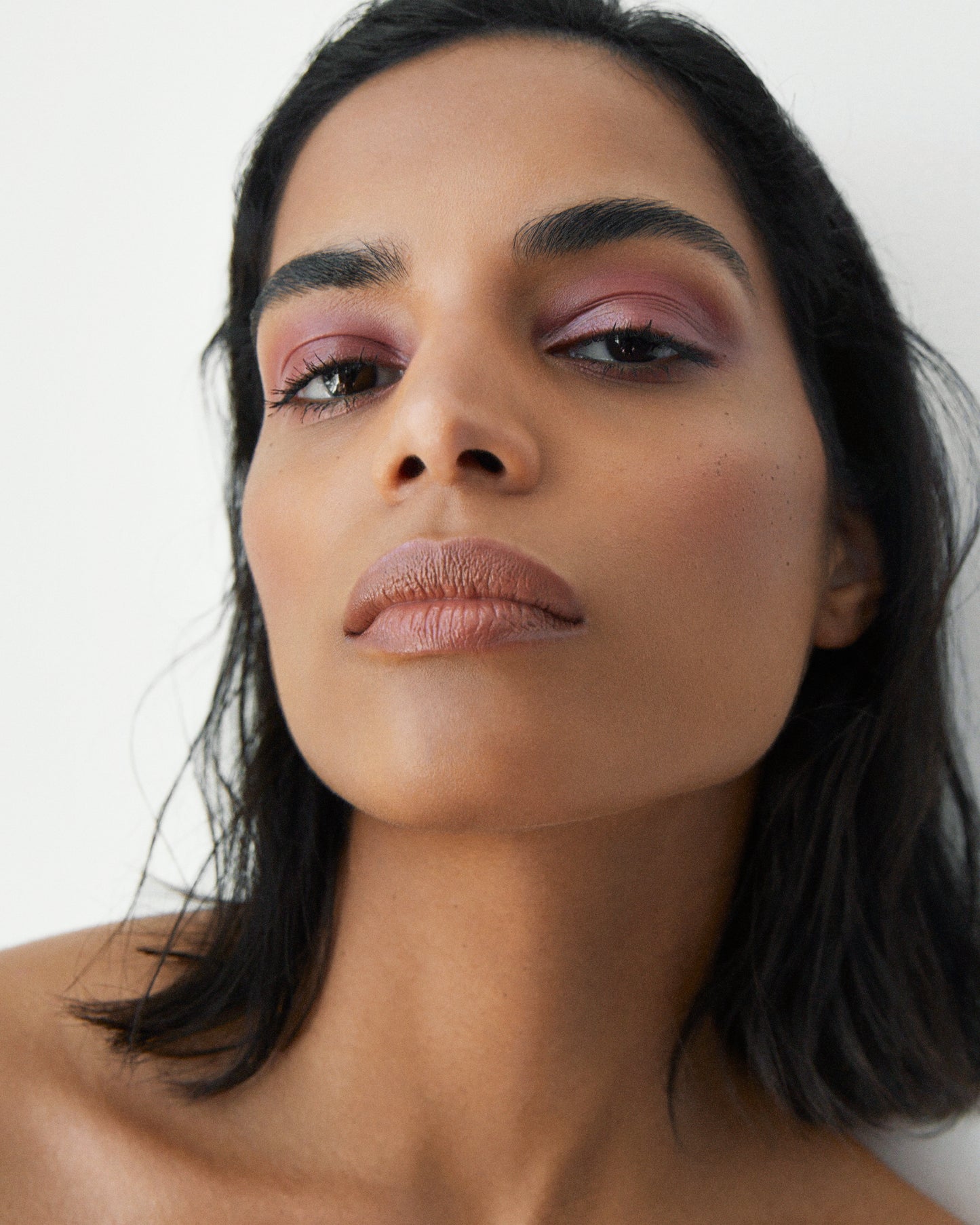 Dianthus All Over Colour