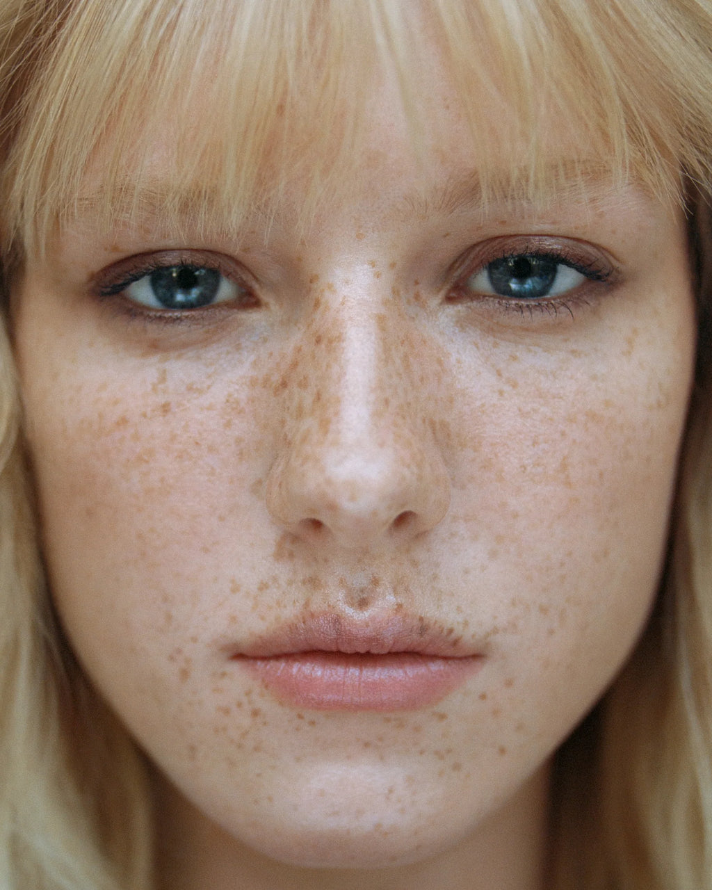 Eye and Lip Definer Nocturne