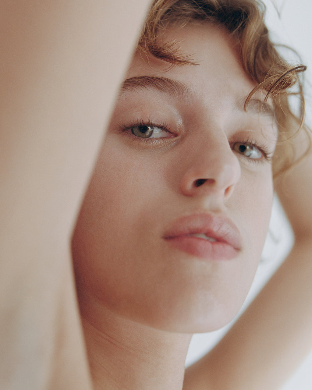 Botanical Face Cream Furora