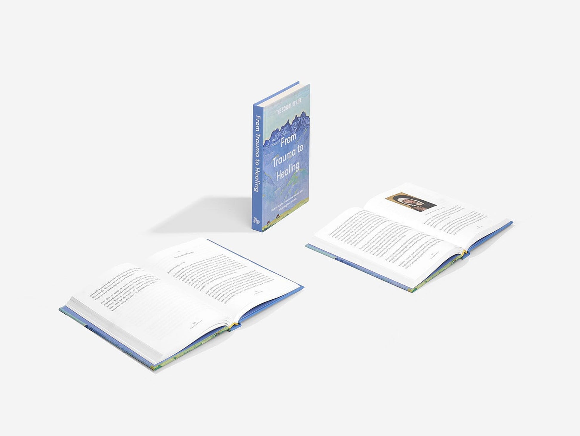 From Trauma to Healing Book