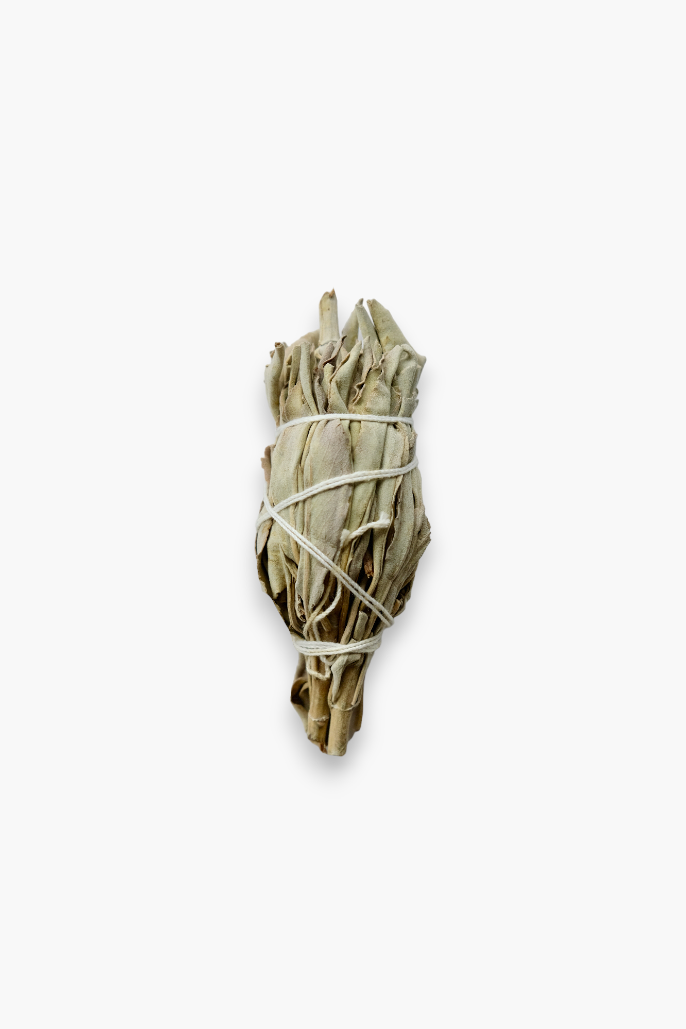 White Sage Stick