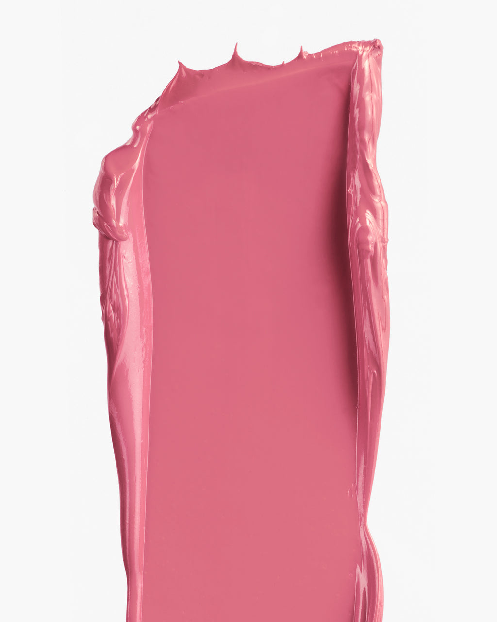 Dianthus All Over Colour