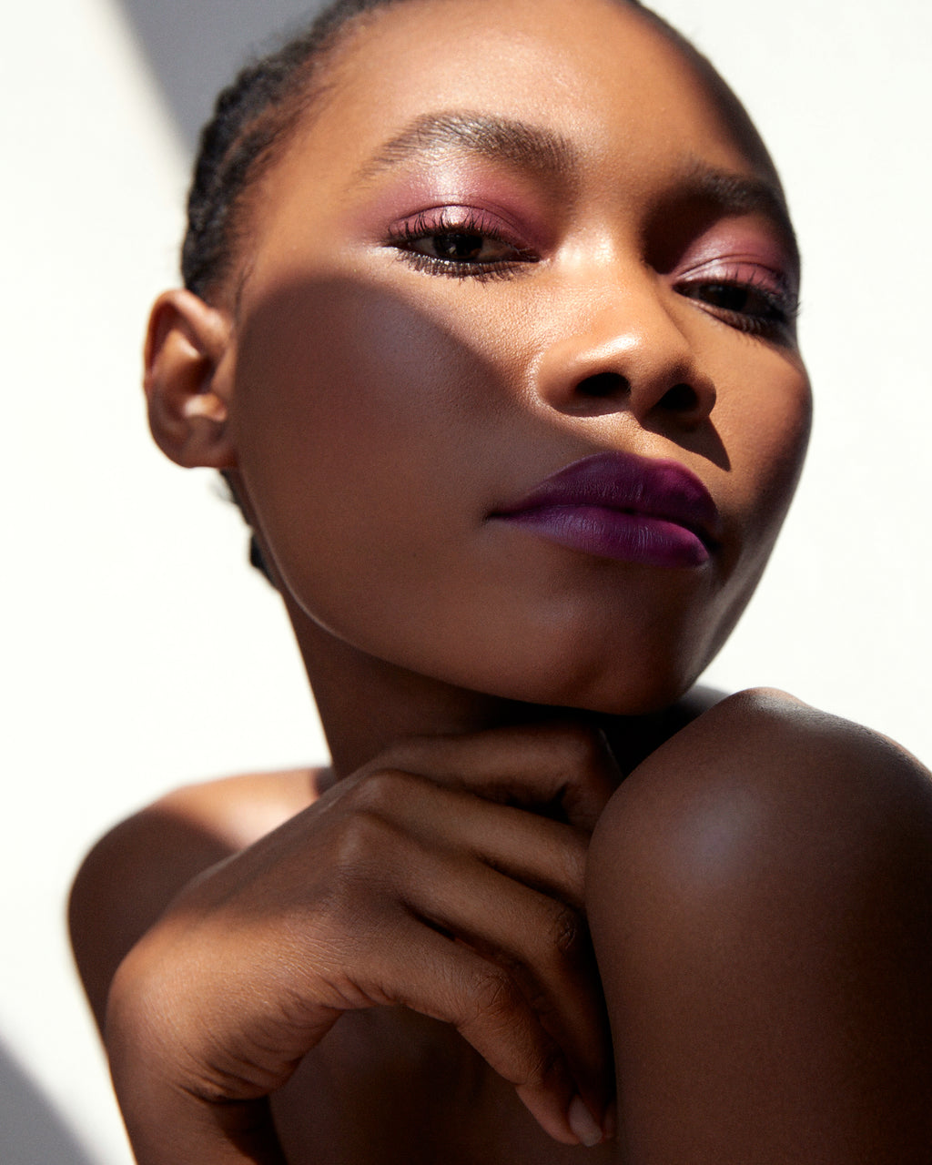 Dianthus All Over Colour