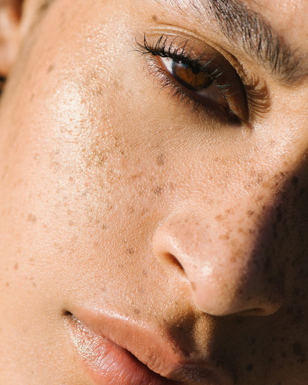 Roseate Bronzelighter